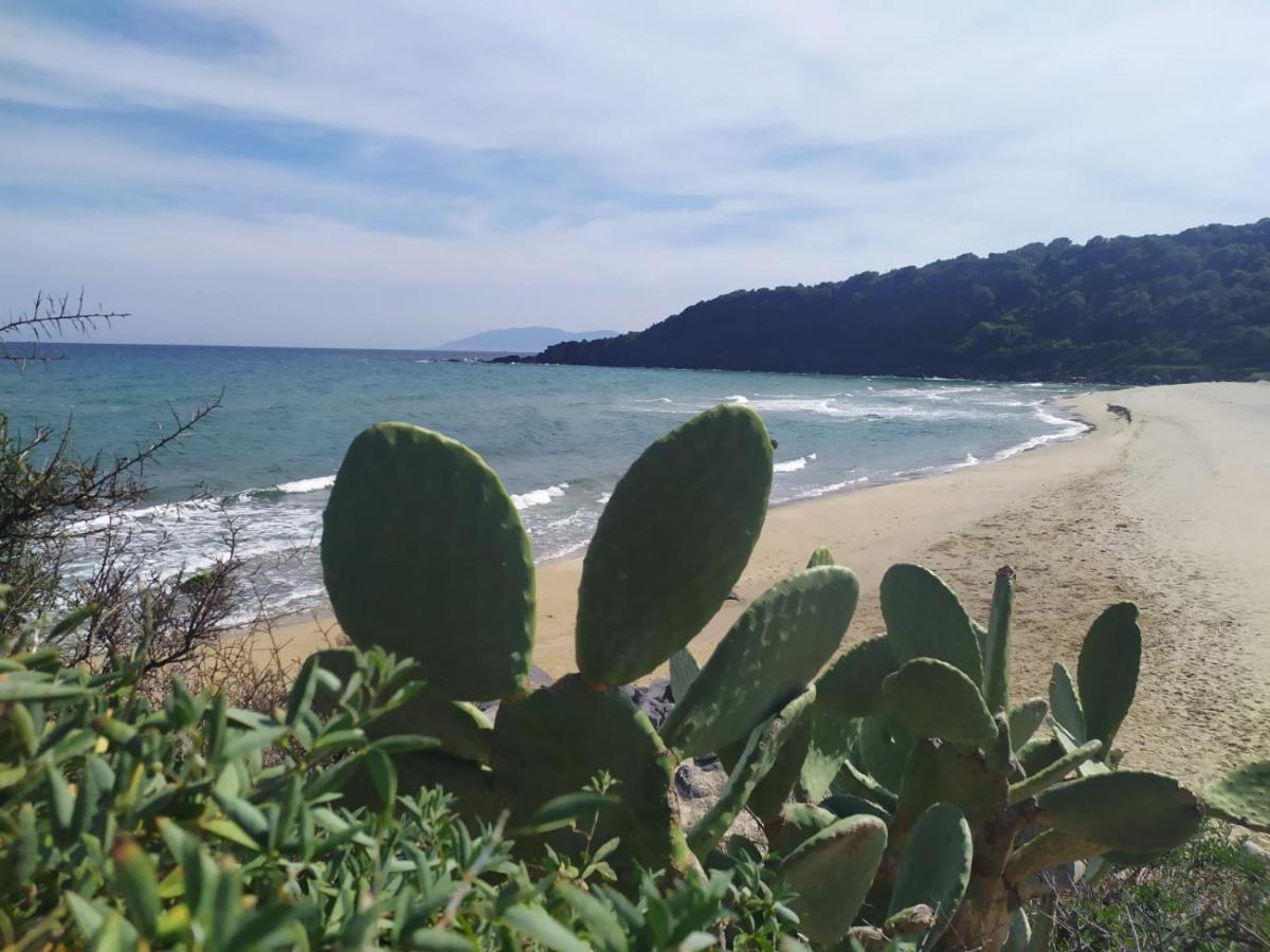 A 50 Mt Dal Mare