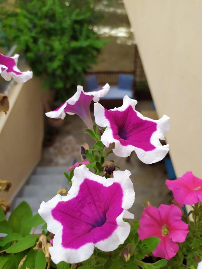 Appartement A 50 Mt Dal Mare