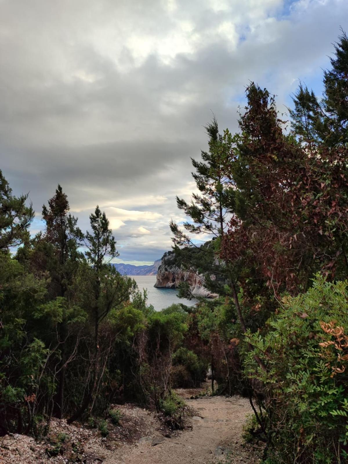 A 50 Mt Dal Mare Apartment Cala Gonone